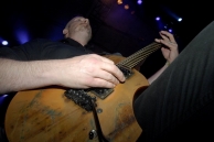 CATTLE DECAPITATION